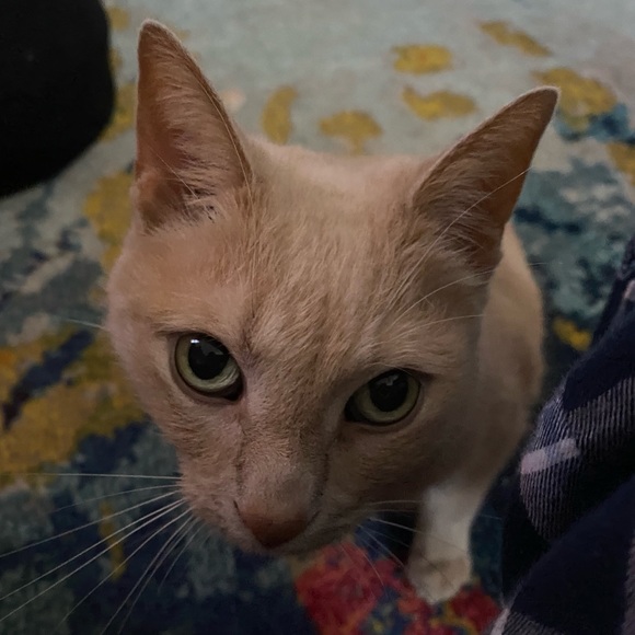 🧳 Shop information - Picture 3 of 3